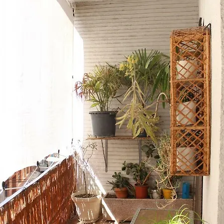 Mercado-centro Apartment Zamora