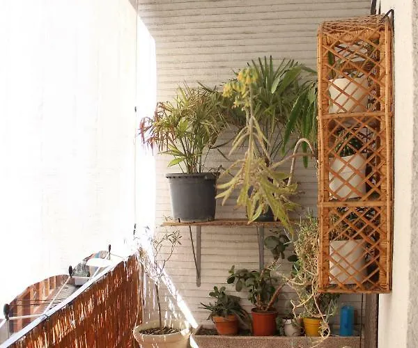 Mercado-centro Appartement Zamora